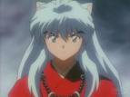 inu 5.jpg