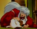 inu 6.jpg